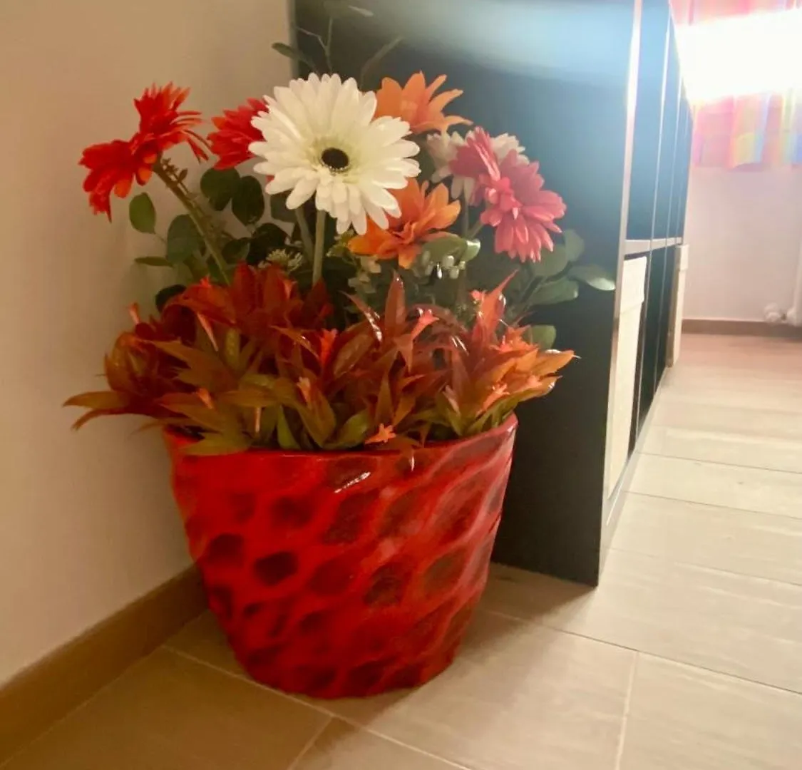 Apartment Casa Colore Bologna